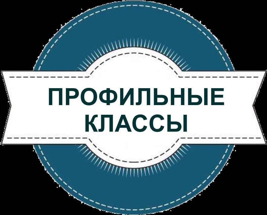 Профильные классы.